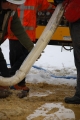 Vyvibrování celistvějšího jádra z hloubky 6-9 m